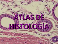 atlas histología